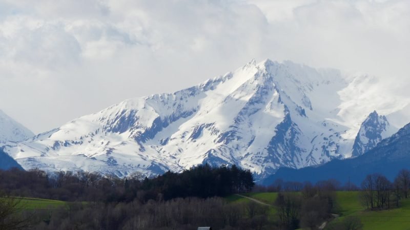 pexels photo 33749666.jpeg