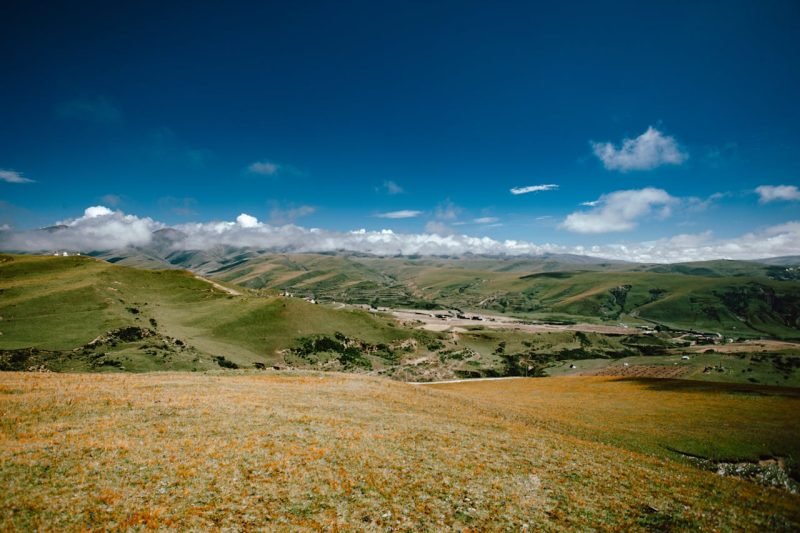 pexels photo 34652893.jpeg